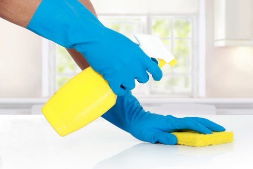 Routine home cleaning with vacuuming and dusting