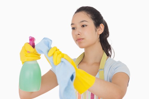 Routine cleaning supplies arranged for home hygiene
