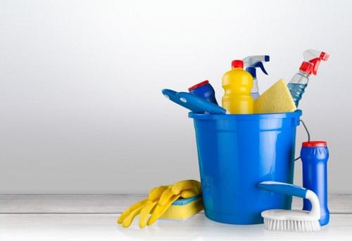 Deep cleaning tools and supplies arranged for a detailed home cleaning task