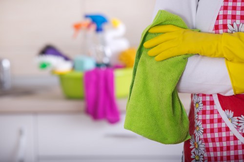 Eco-friendly domestic cleaning supplies used in a modern home
