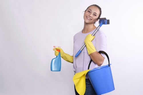 A tidy room showing smart house cleaning organization