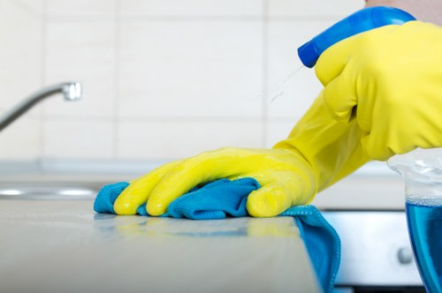 DIY oven cleaning supplies on a kitchen counter