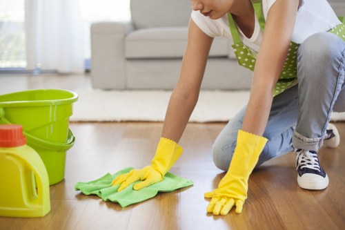 Regular cleaning tasks in a household setting